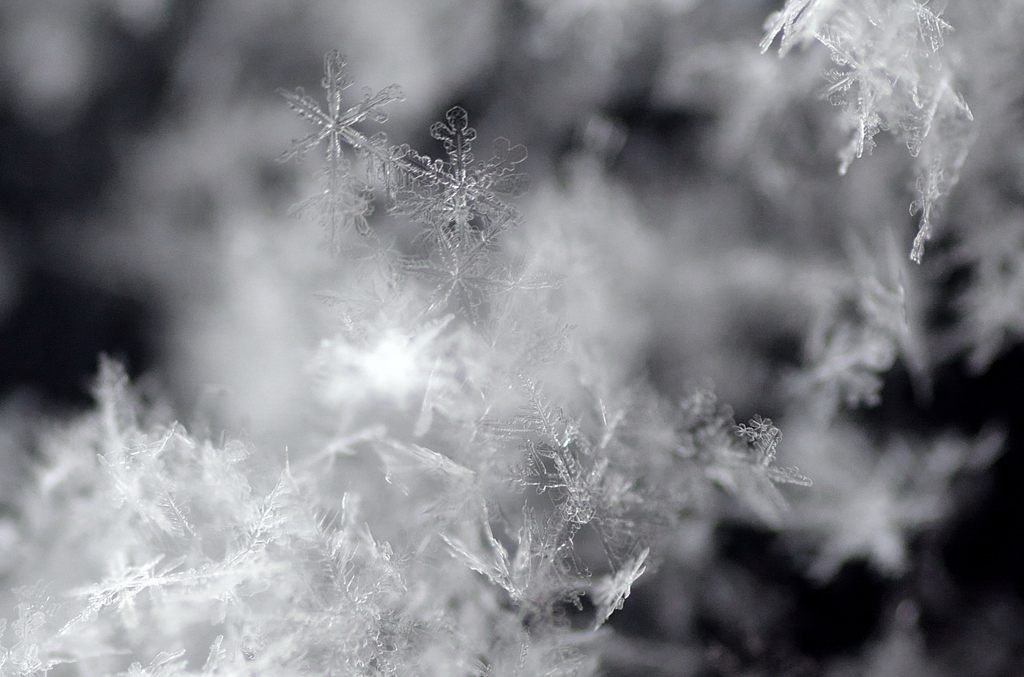 雪の結晶④