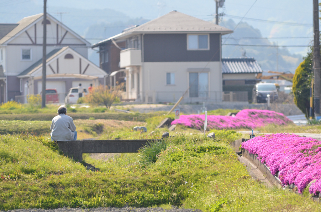 ほのぼのさん