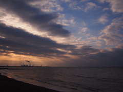 朝の木漏れ日　海