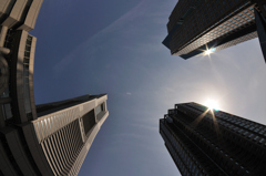 ランドマークたわわ