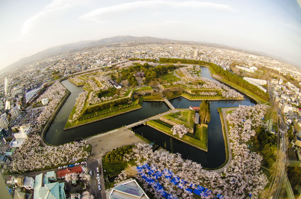 五桜郭