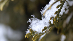 雪の結晶①