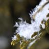 雪の結晶①