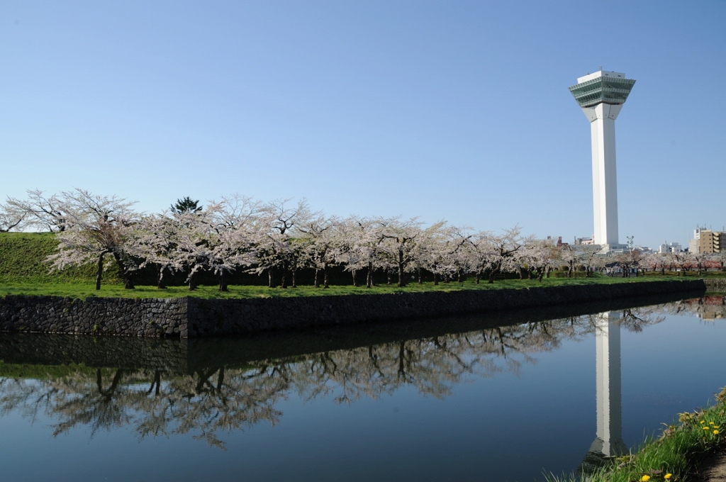 五稜郭公園（新五稜郭タワー）