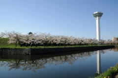五稜郭公園（新五稜郭タワー）