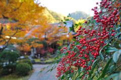 最勝院高徳庵