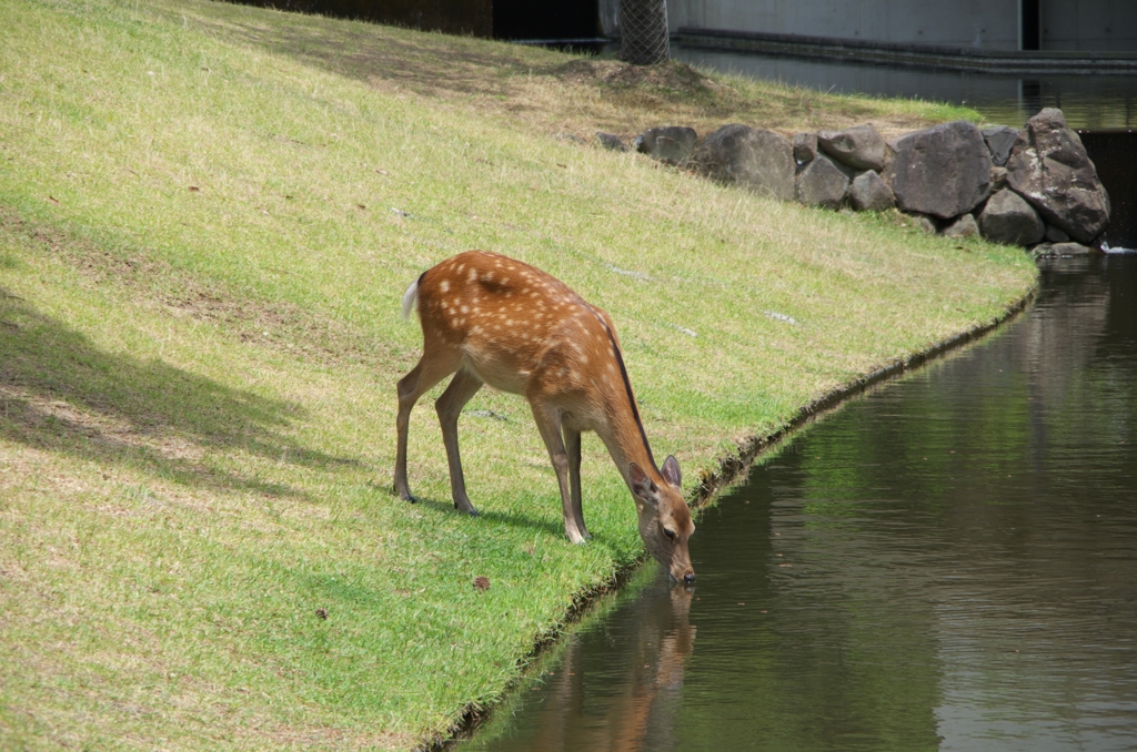 水分補給