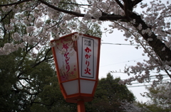 八坂神社