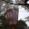 八坂神社