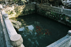 龍池