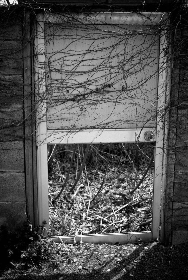 DOORS