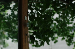 Kind Of Green