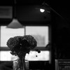 驟雨　4