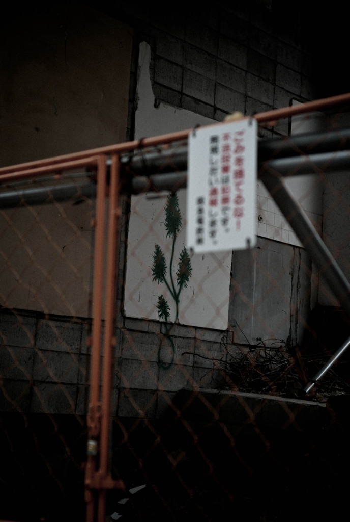 撮るだけ　1