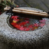 雨の庭園