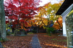 東桂苑カフェ