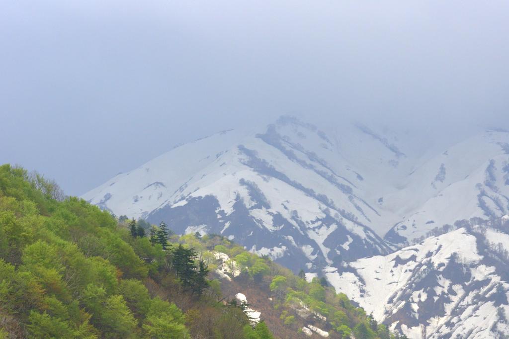 山の春