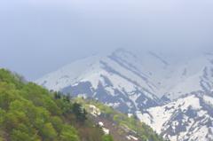 山の春