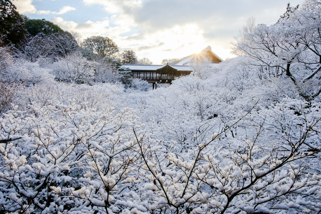 雪景色の東福寺　通天橋