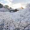 雪景色の東福寺　通天橋