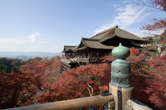 紅葉の清水寺