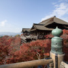 紅葉の清水寺