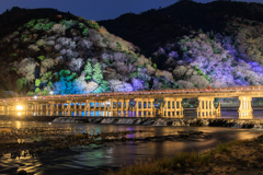 嵐山花灯路2021 渡月橋 ライトアップ