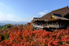 清水寺の紅葉