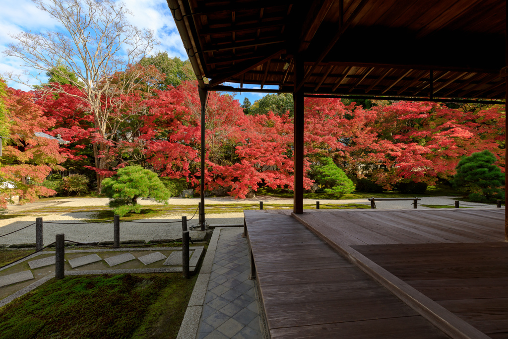 南禅寺　天授庵の紅葉