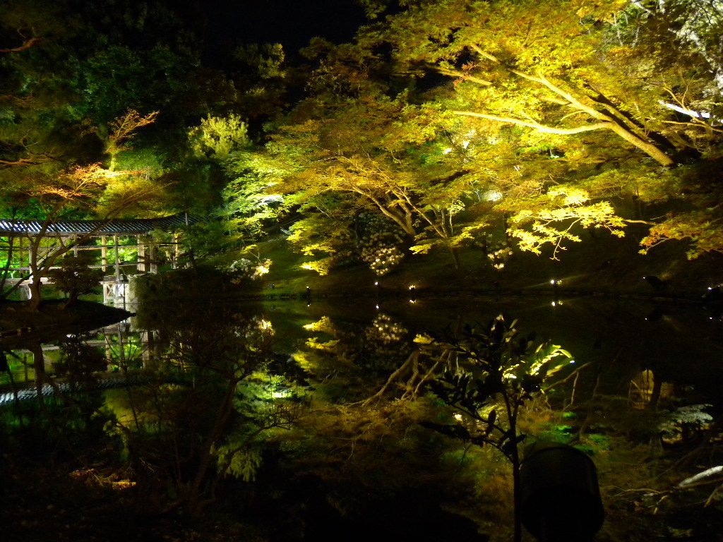春の夜