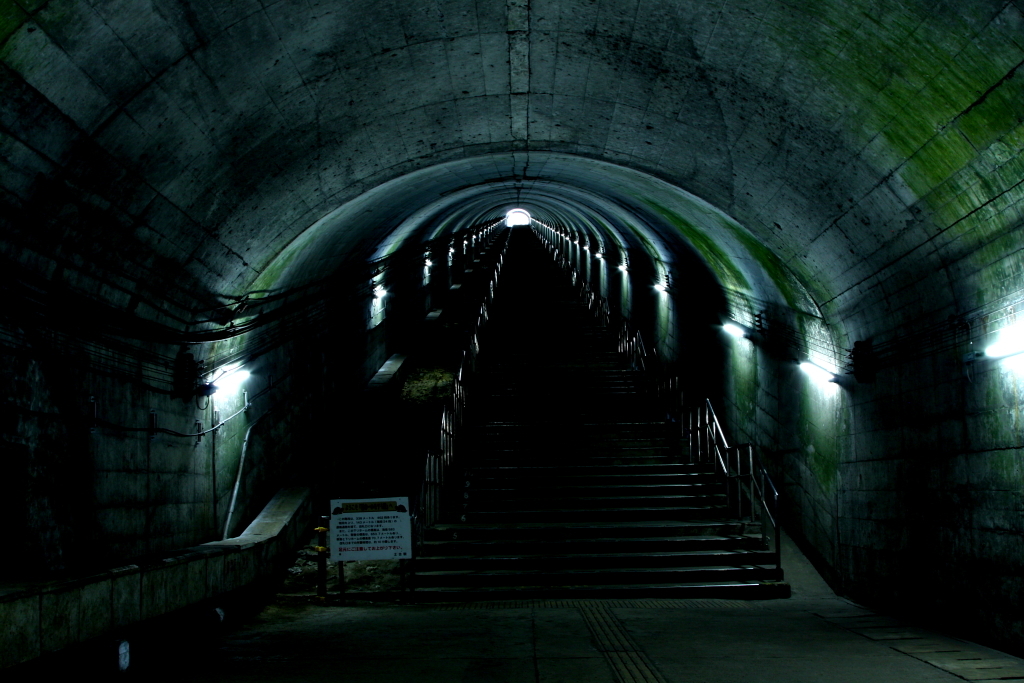 462step,338meter