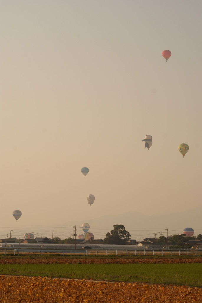saga balloon