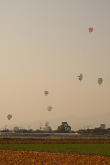 saga balloon