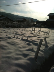 雪畑