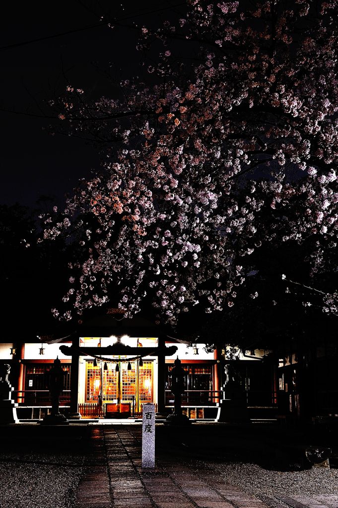 枚方市　百済王神社にて