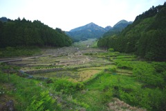 IMGP2001