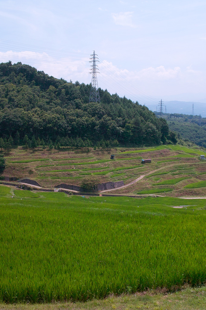 SDIM0057