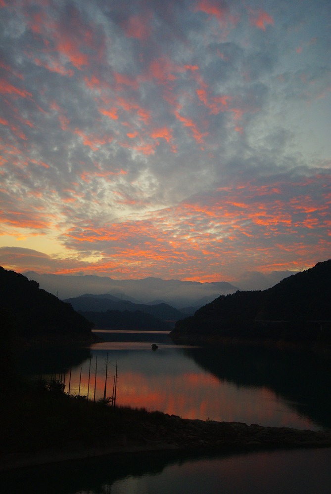 IMGP3588