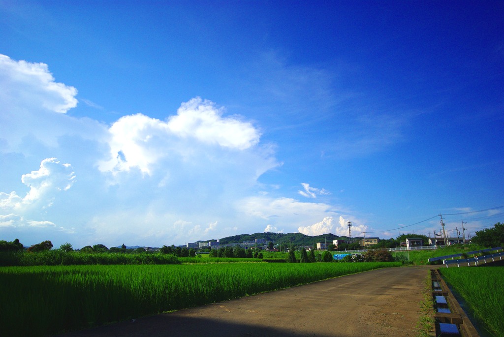 IMGP2589