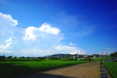 IMGP2589
