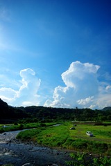 IMGP2563