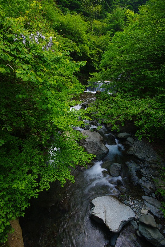 IMGP6084