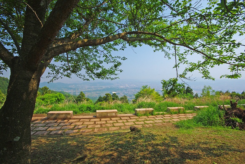 IMGP6108