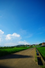 IMGP2588