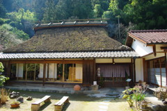 IMGP1706