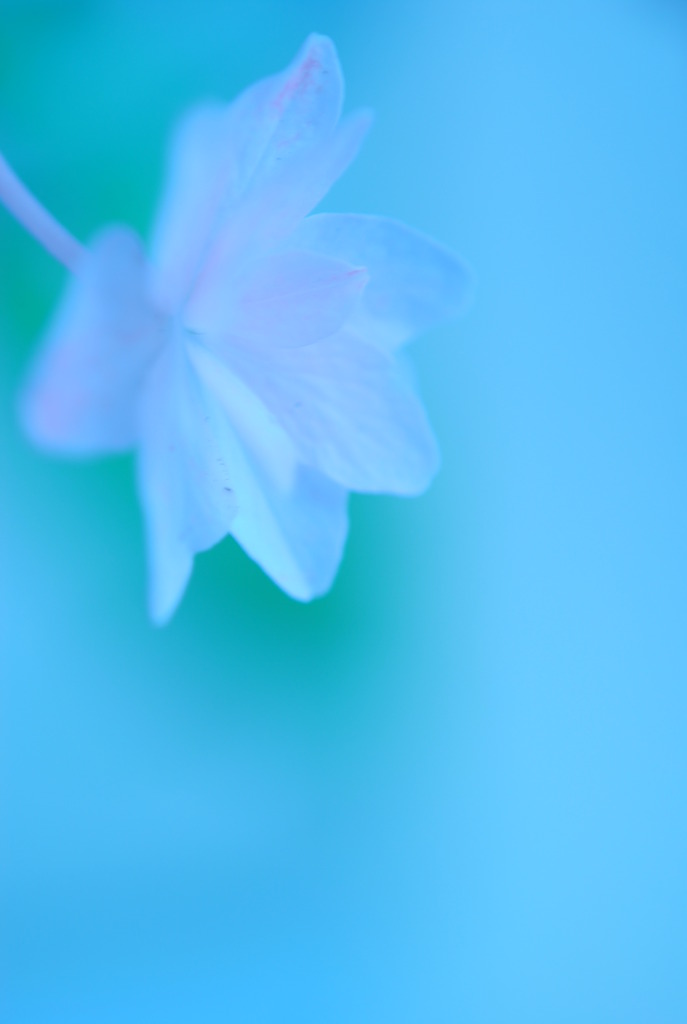 蒼い世界