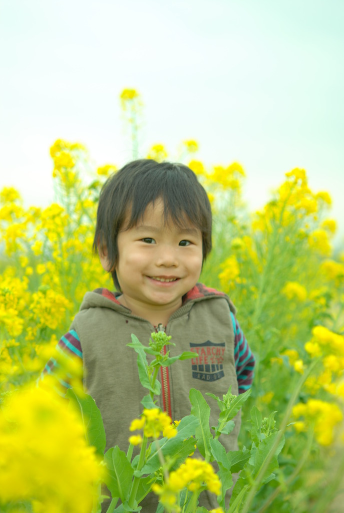 菜の花畑の僕。