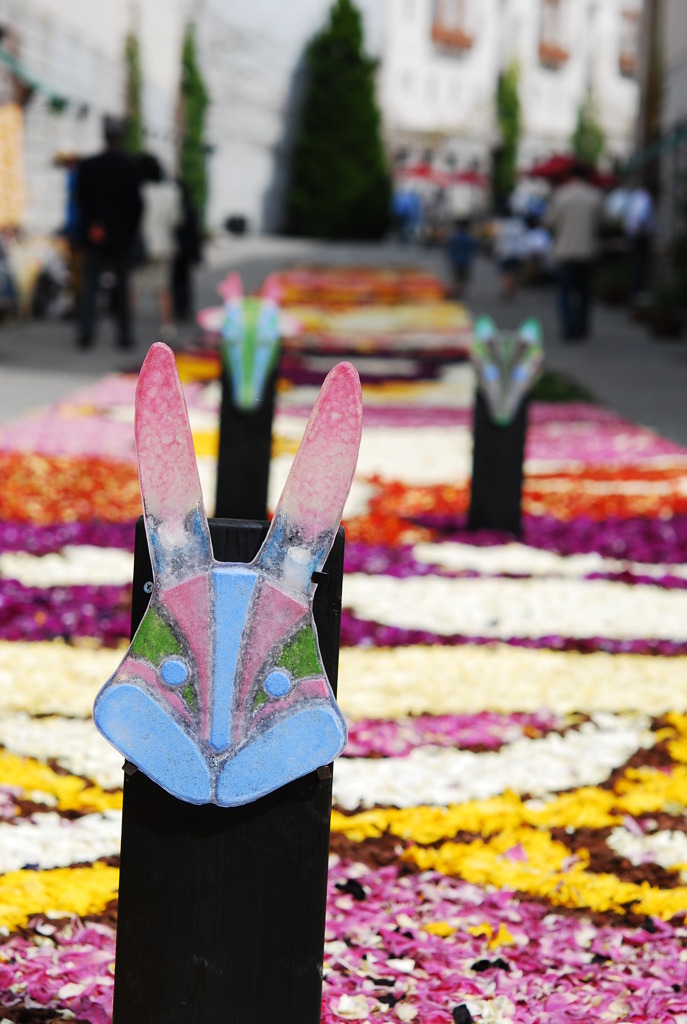花の絨毯