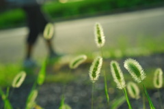 ごはんだよ~。