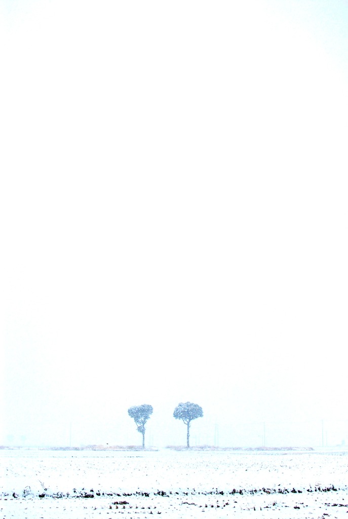 Standing in the world covered with snow